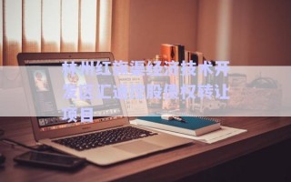 林州紅旗渠經(jīng)濟技術(shù)開發(fā)區(qū)匯通控股債權(quán)轉(zhuǎn)讓項目